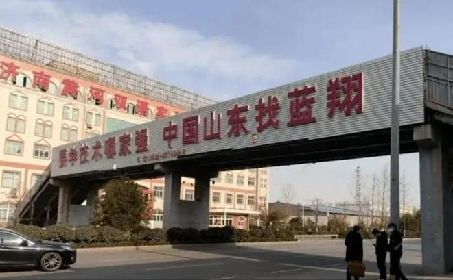 后蓝翔校长再送原配入狱这次被“反杀”了long88龙8国际把三个女儿弄去坐牢(图5)