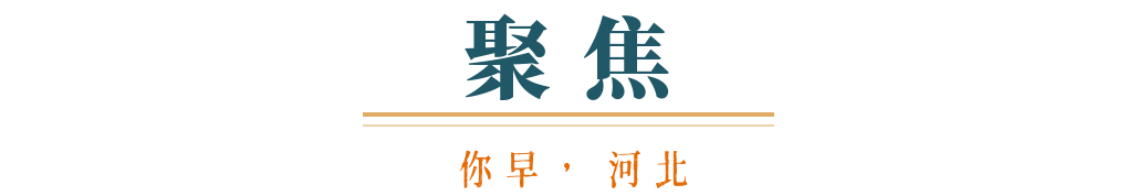 税的代价；当下是抄底黄金的好时机吗；谁会成为下一届韩国总统你早河北｜河北新能源汽车“加速跑”；一部手机看懂美国加关(图7)