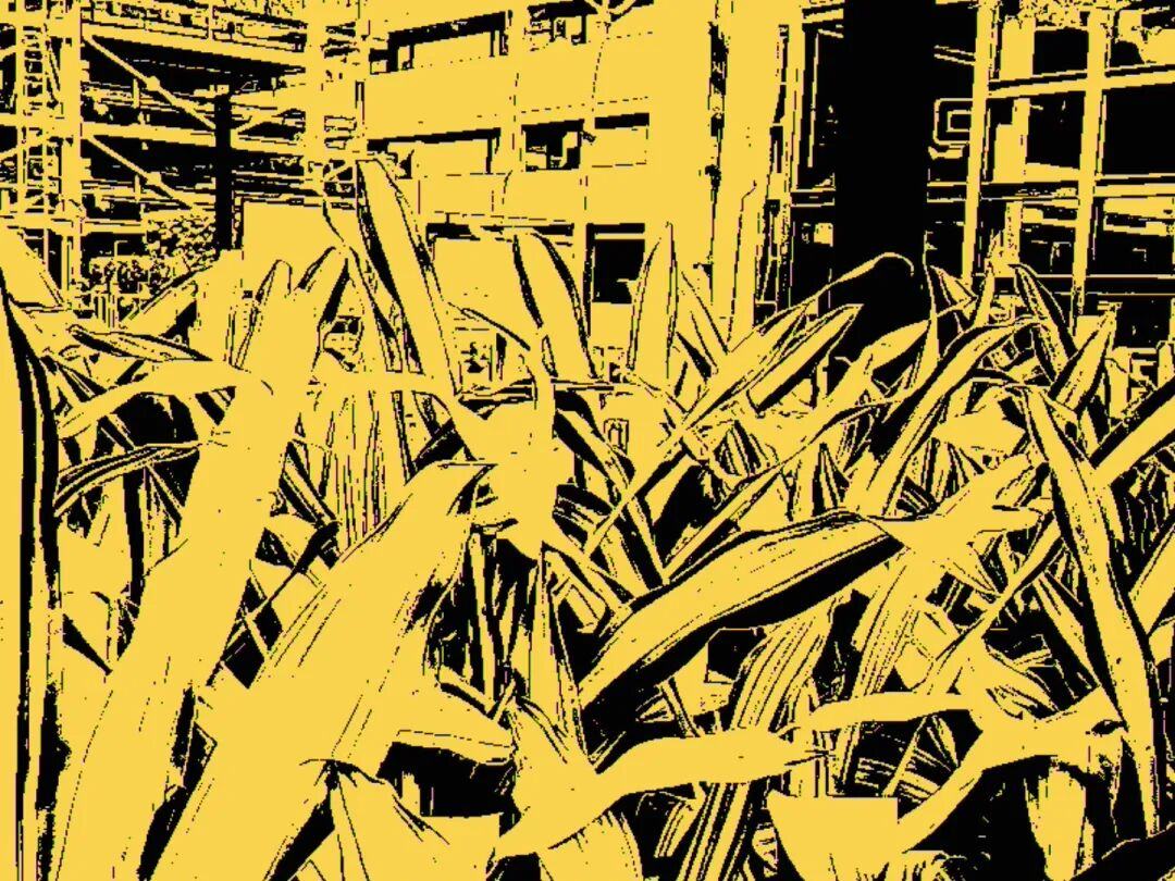 垃圾全世界抢疯了200块的电子(图2)