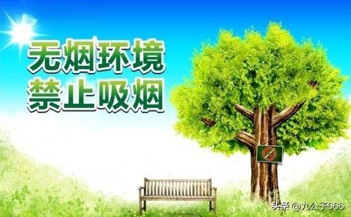 迁以及那些老品牌香烟安阳卷烟厂的历史变(图10)